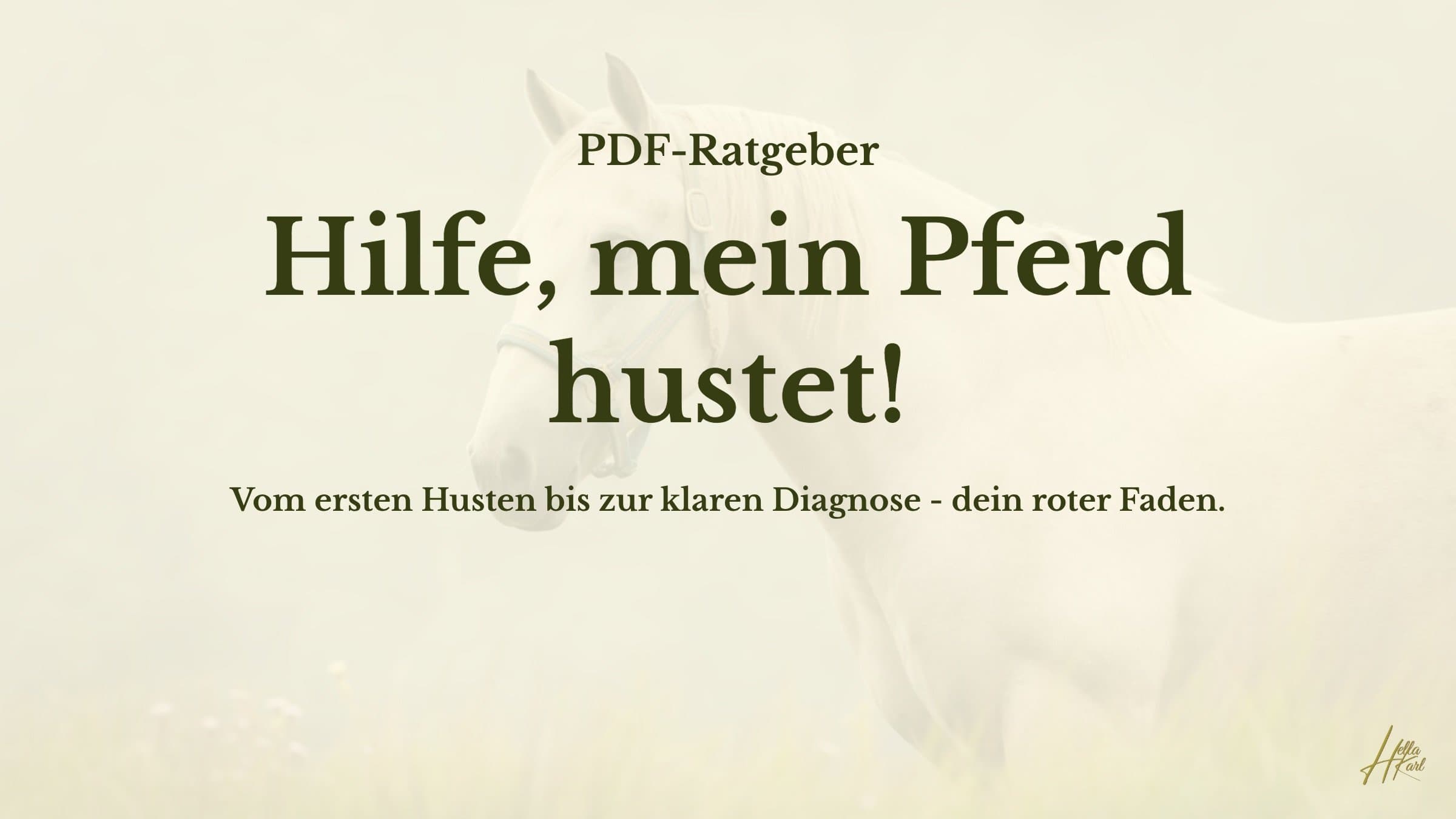 Hilfe, mein Pferd hustet!